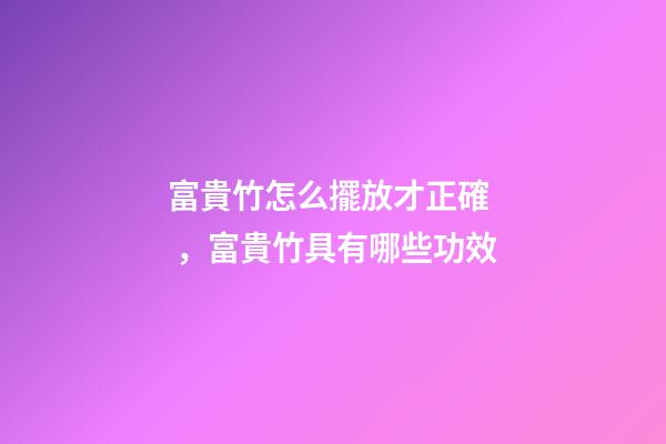 富貴竹怎么擺放才正確，富貴竹具有哪些功效
